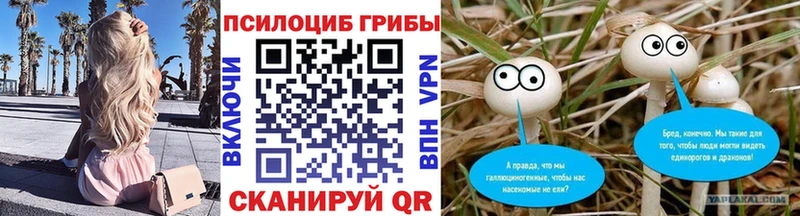 Галлюциногенные грибы Magic Shrooms  продажа наркотиков  Калачинск 